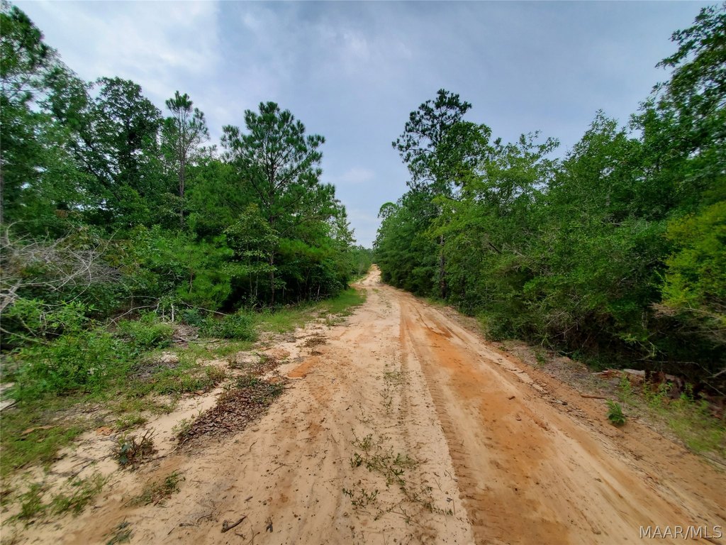 Picture 17