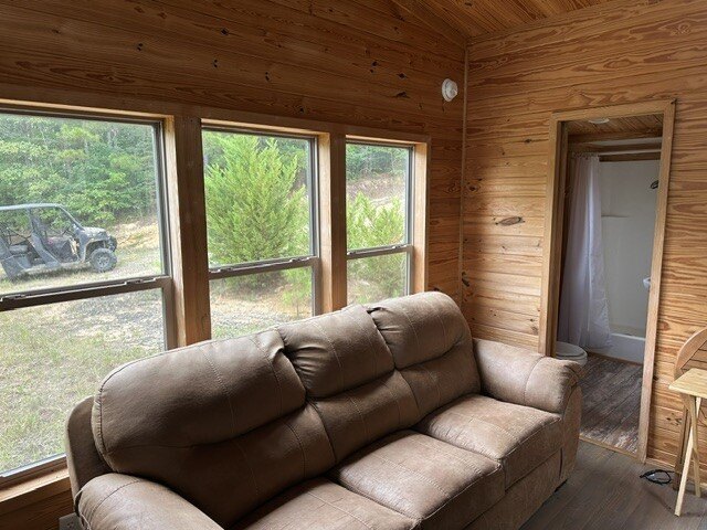 Picture 5