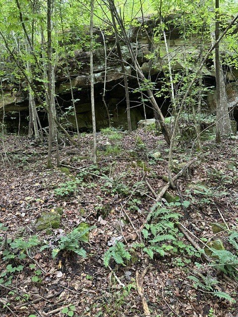 Picture 22