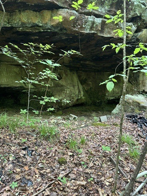 Picture 23