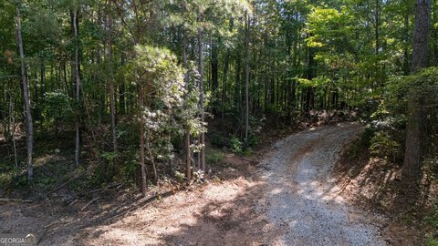 Land, Franklin, GA