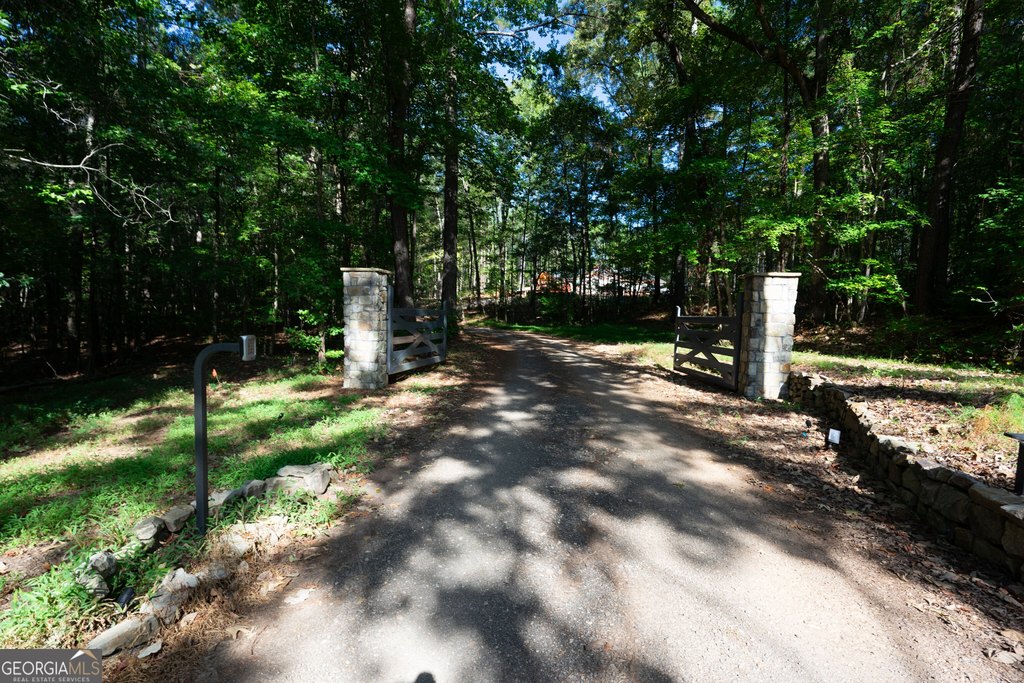 Picture 19