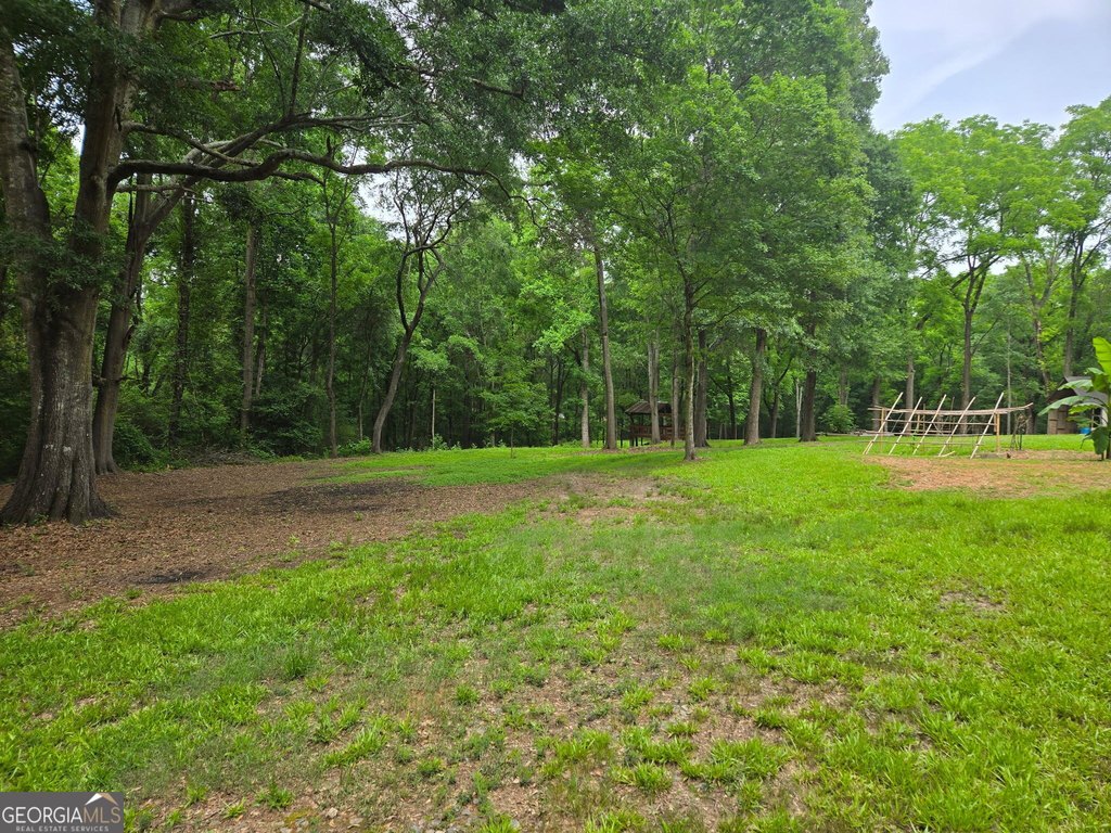 Picture 6