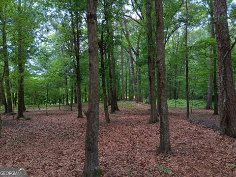 LAND - Maysville, GA