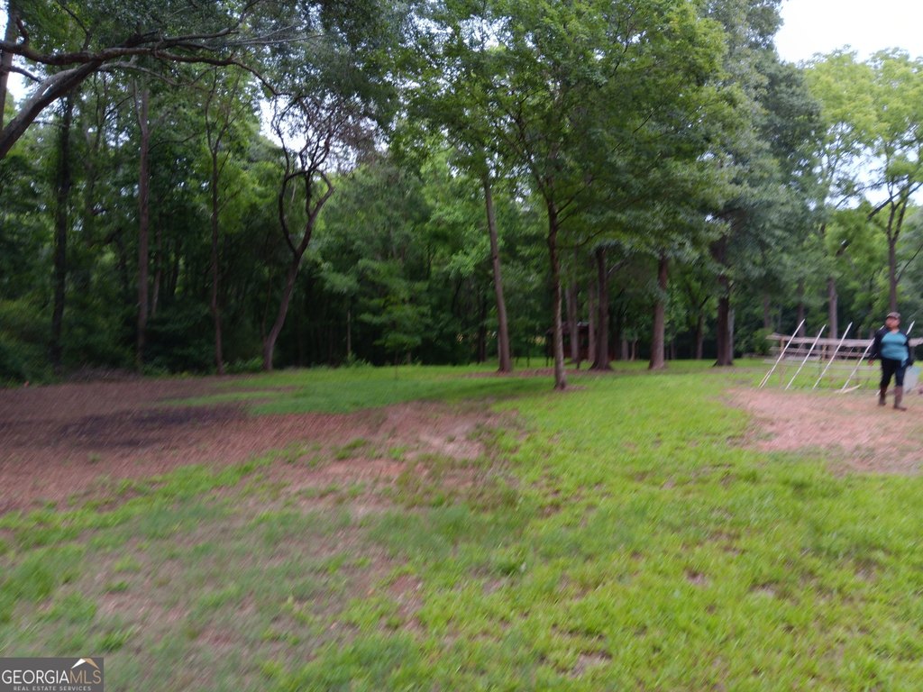 Picture 5