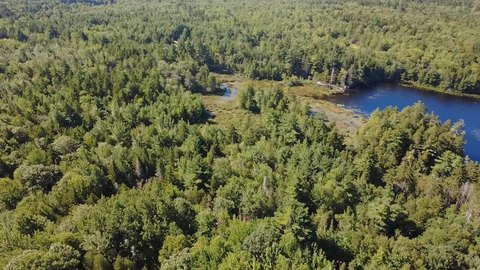 Land, Blue Hill, ME