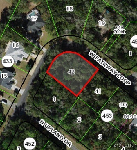 Citrus Springs Buildable Corner Lot