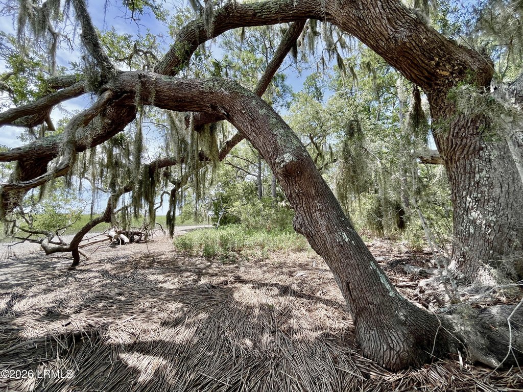 Picture 30