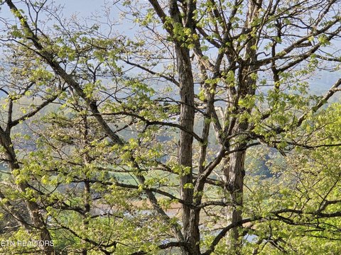 Morristown Land with Mountain Views