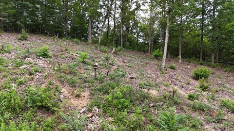 Land, Bean Station, TN