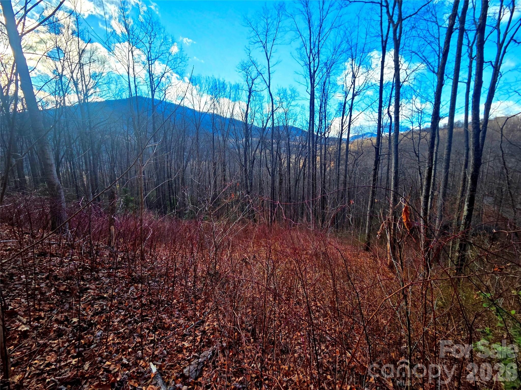 Mountain Homesite Ready for Building