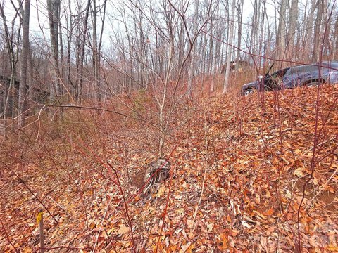 Mountain Homesite Ready for Building