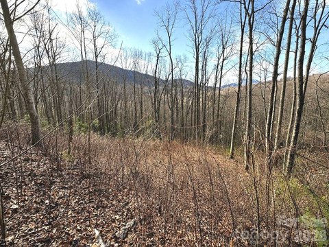 Mountain Homesite Ready for Building