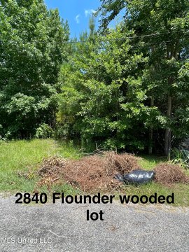 Gautier, MS Land Opportunity