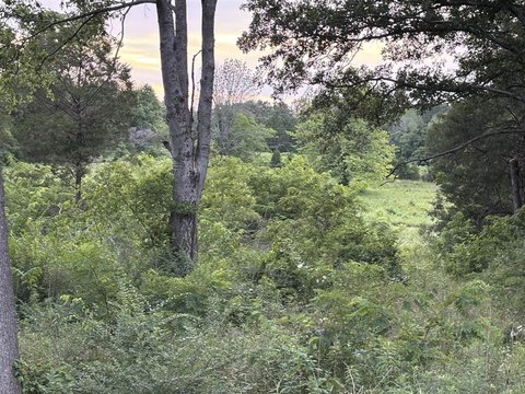 LAND - Smiths Grove, KY