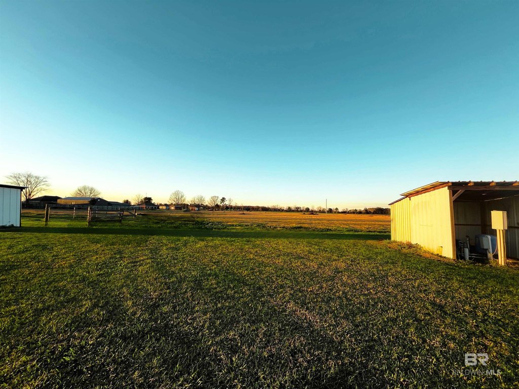 Picture 7