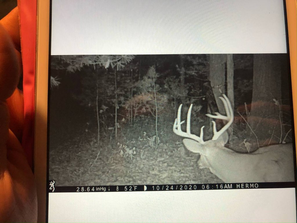 Picture 36