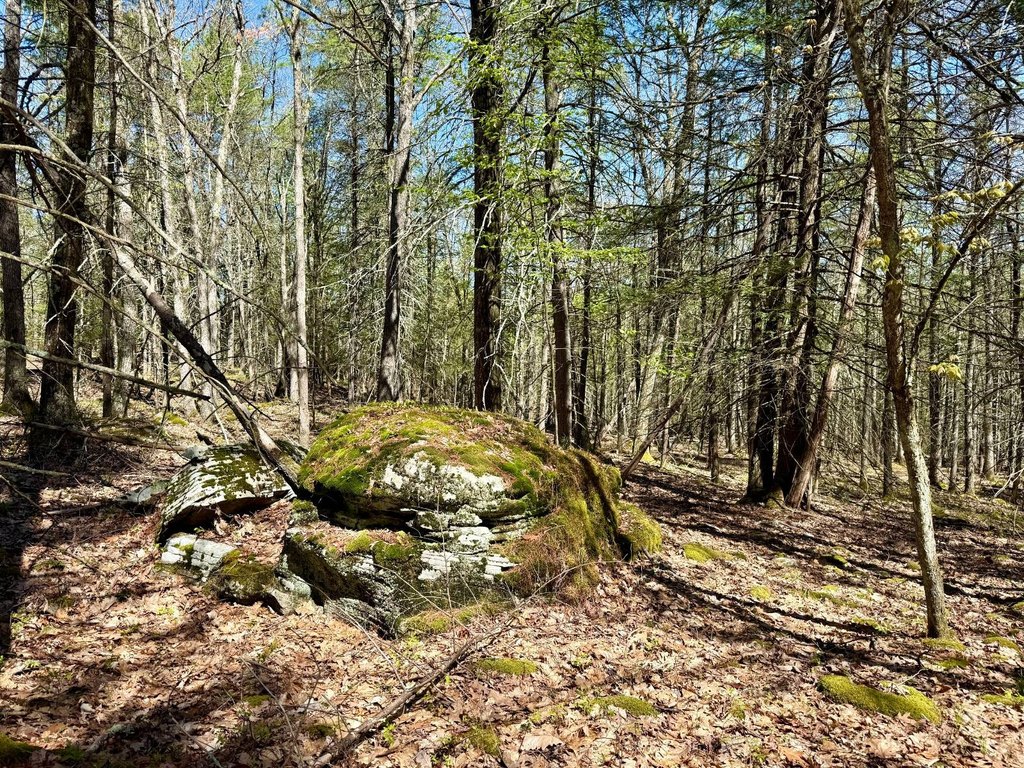 Picture 28