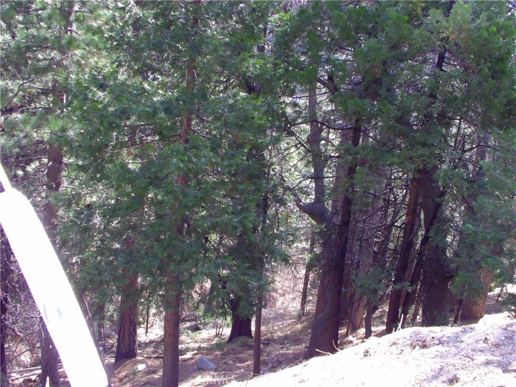 Picture 3