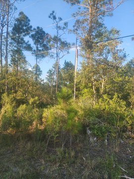 Land, Ormond Beach, FL