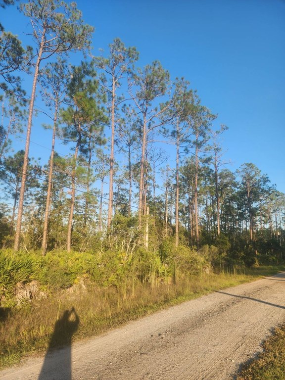Picture 8
