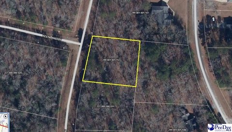 LAND - Cheraw, SC