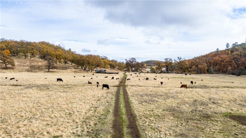 Expansive Ranch in Lower Lake