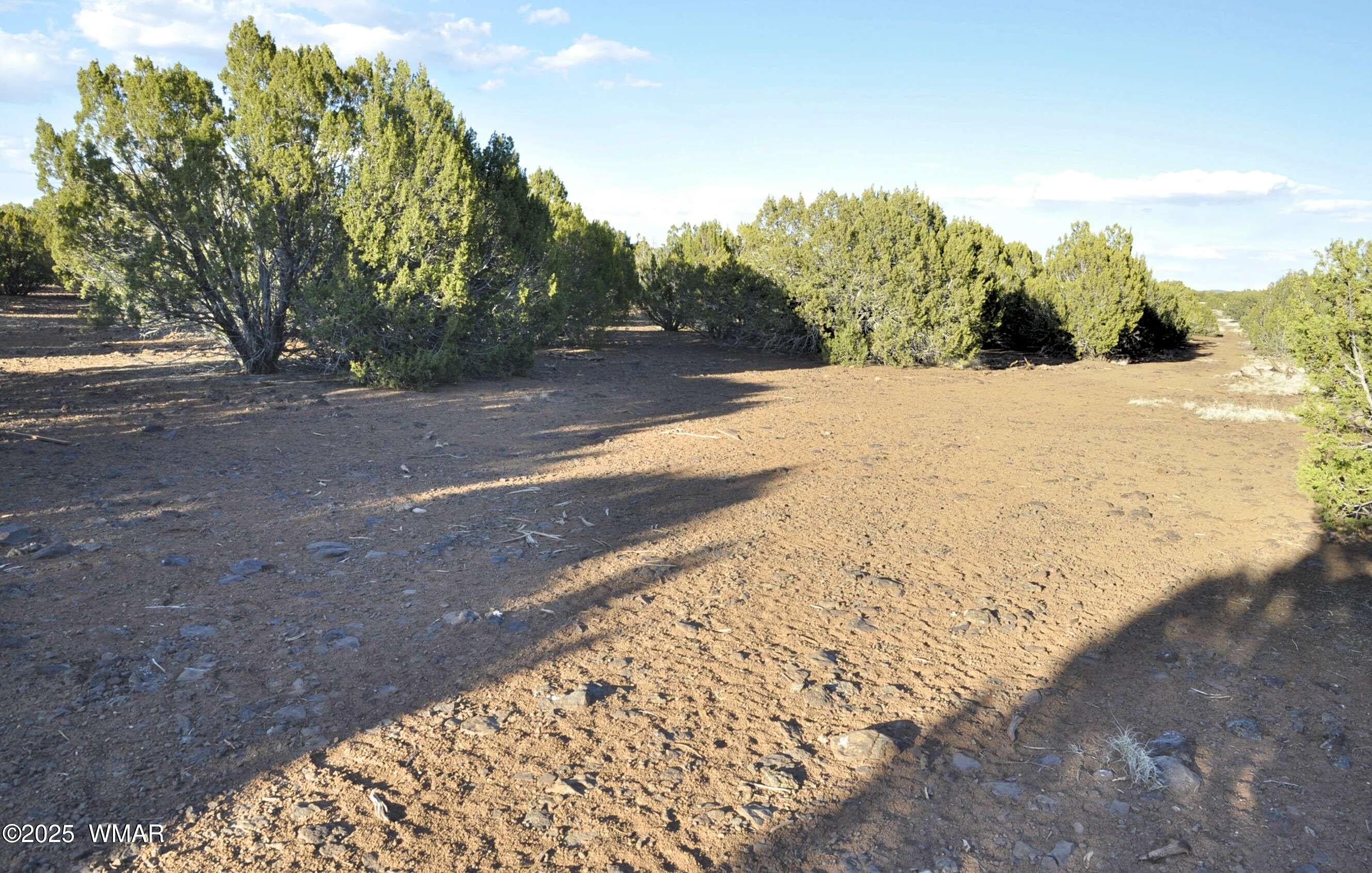 Heavily Treed Land Near State