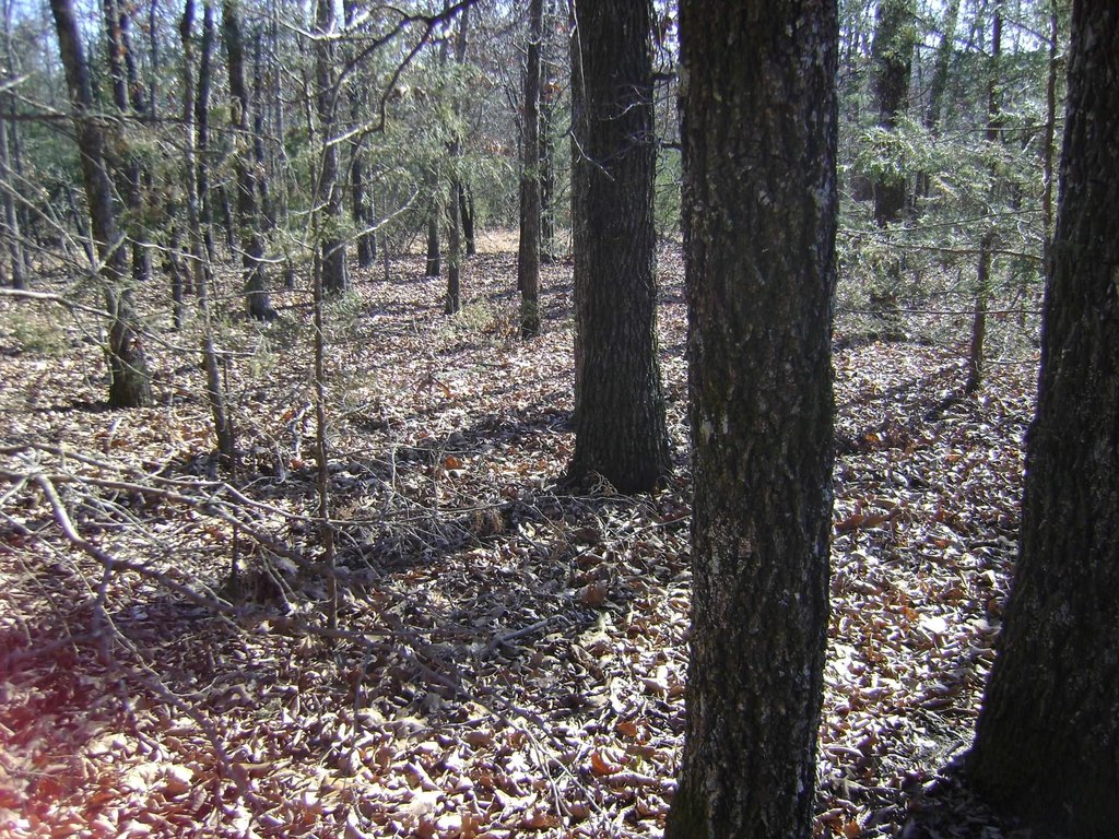 Picture 9