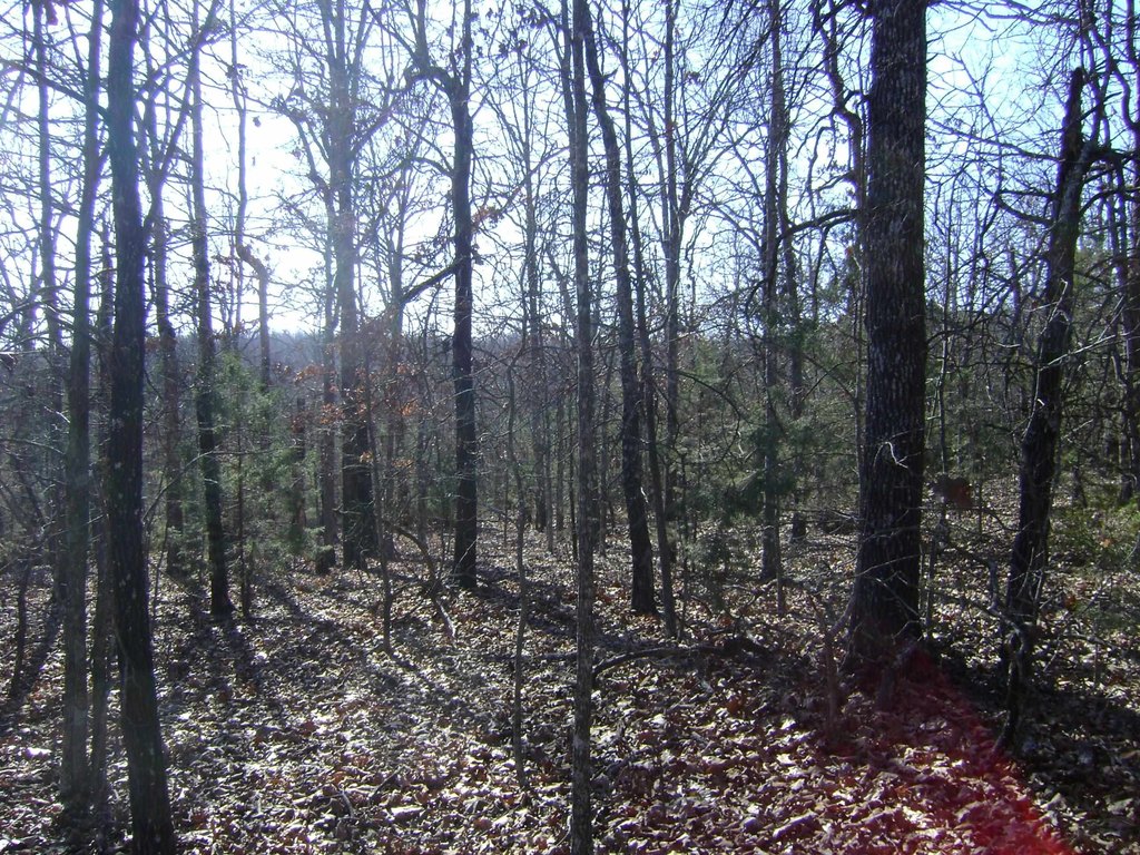 Picture 12