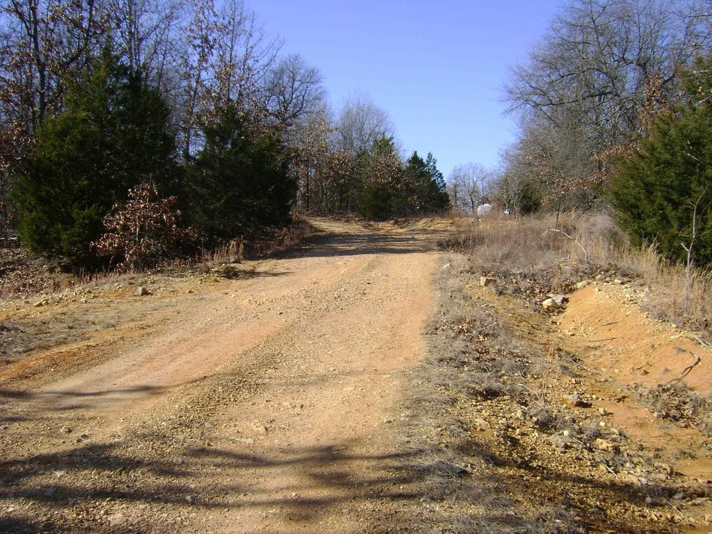 Picture 7