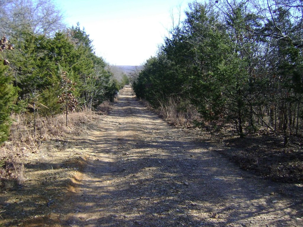 Picture 6