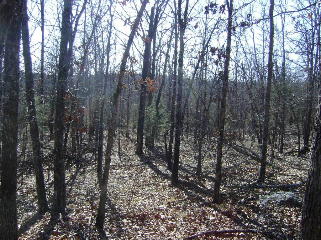 Picture 5