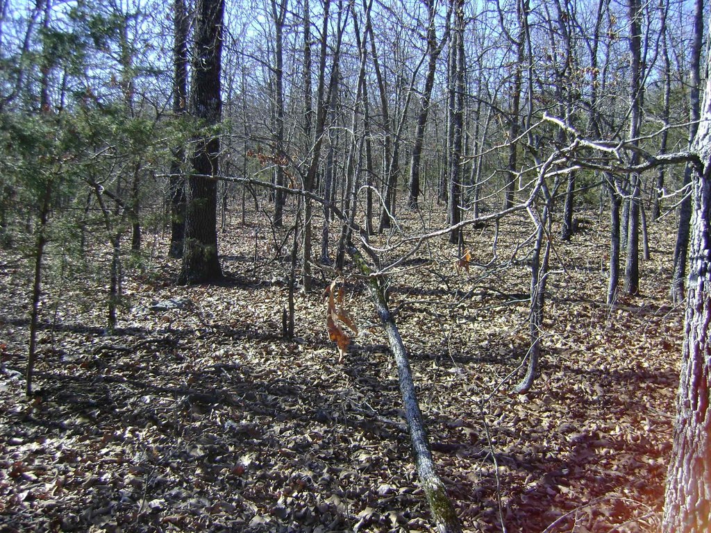 Picture 11