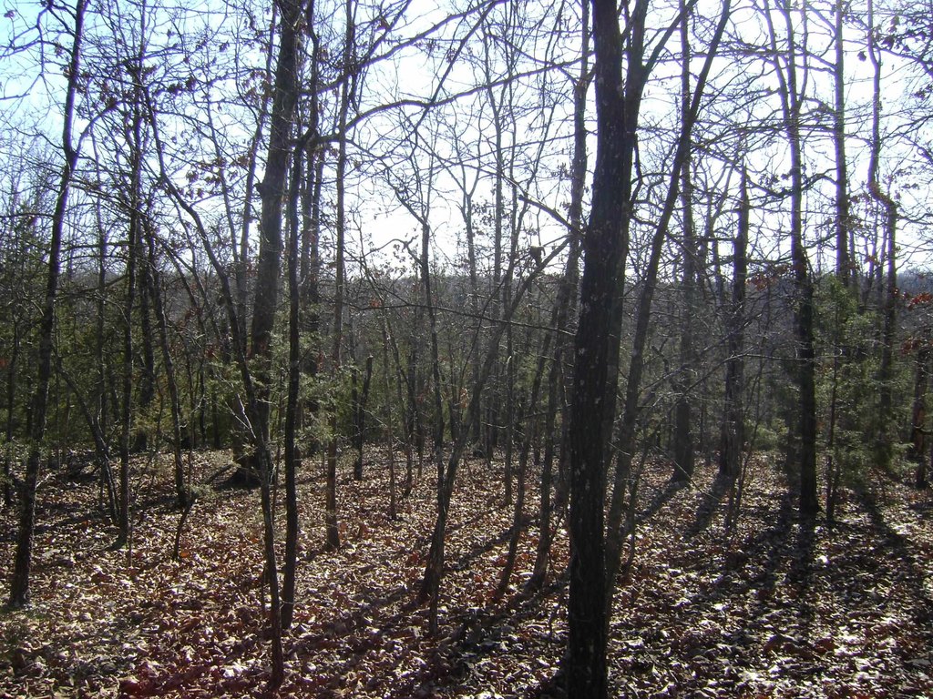 Picture 14