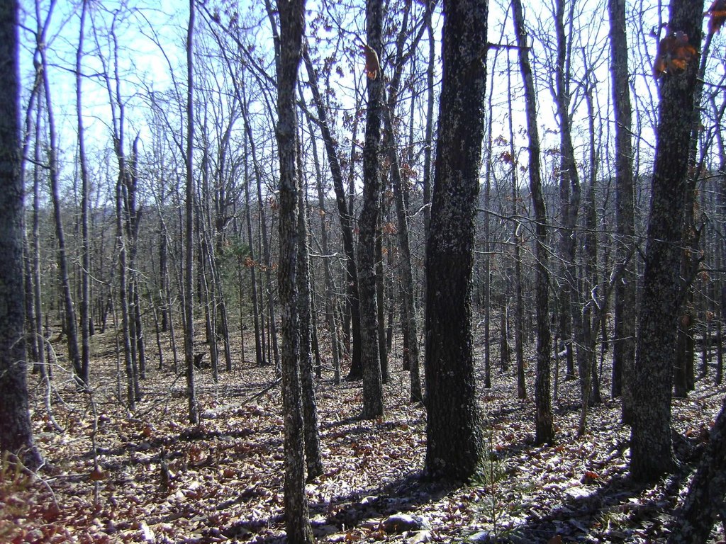 Picture 3