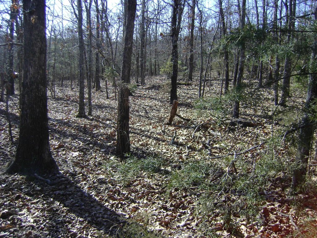 Picture 8