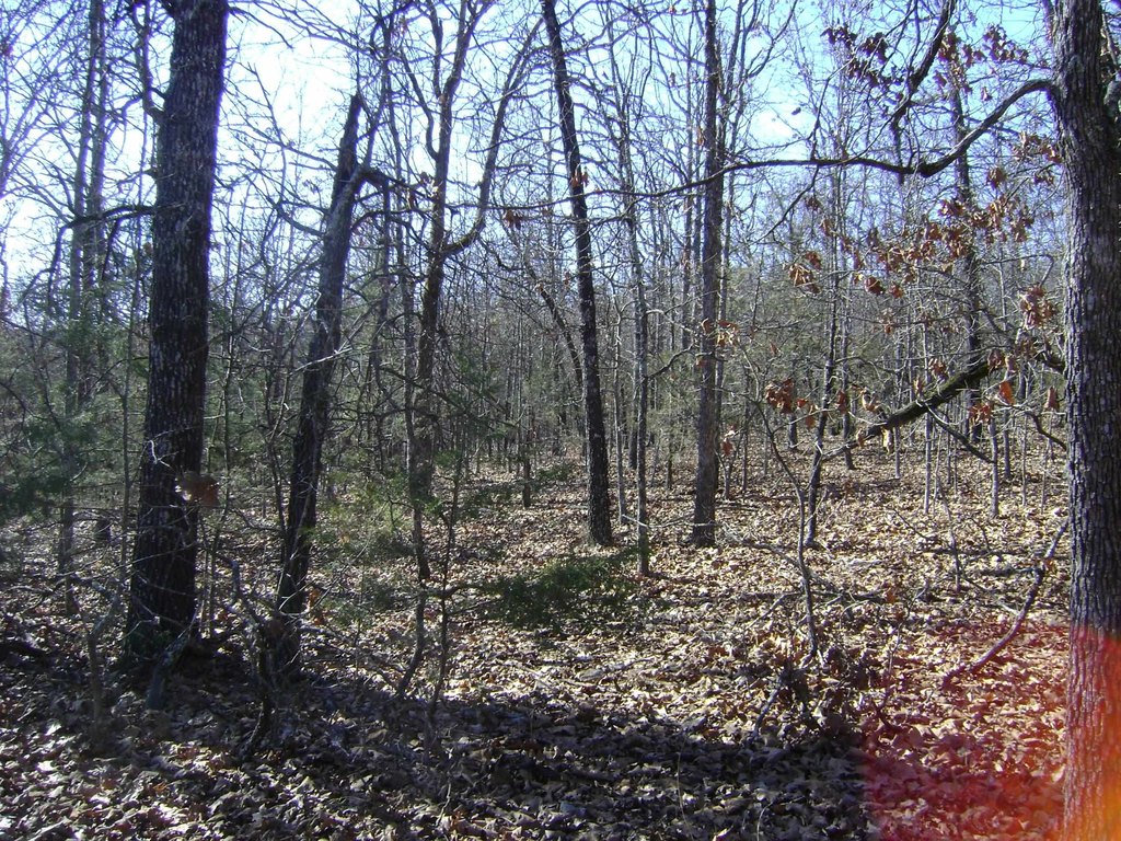 Picture 13