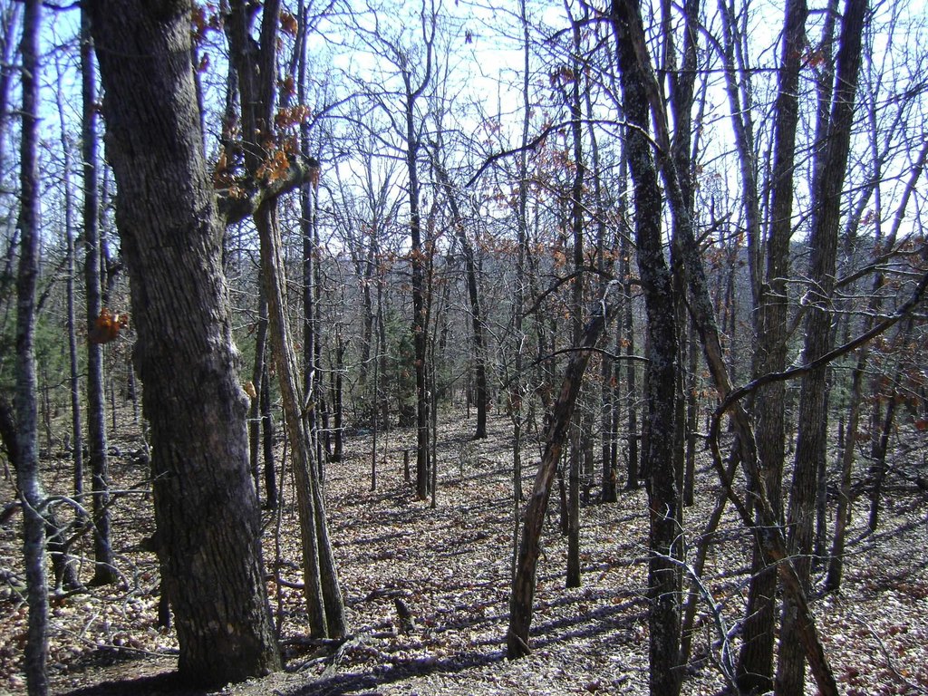 Picture 4