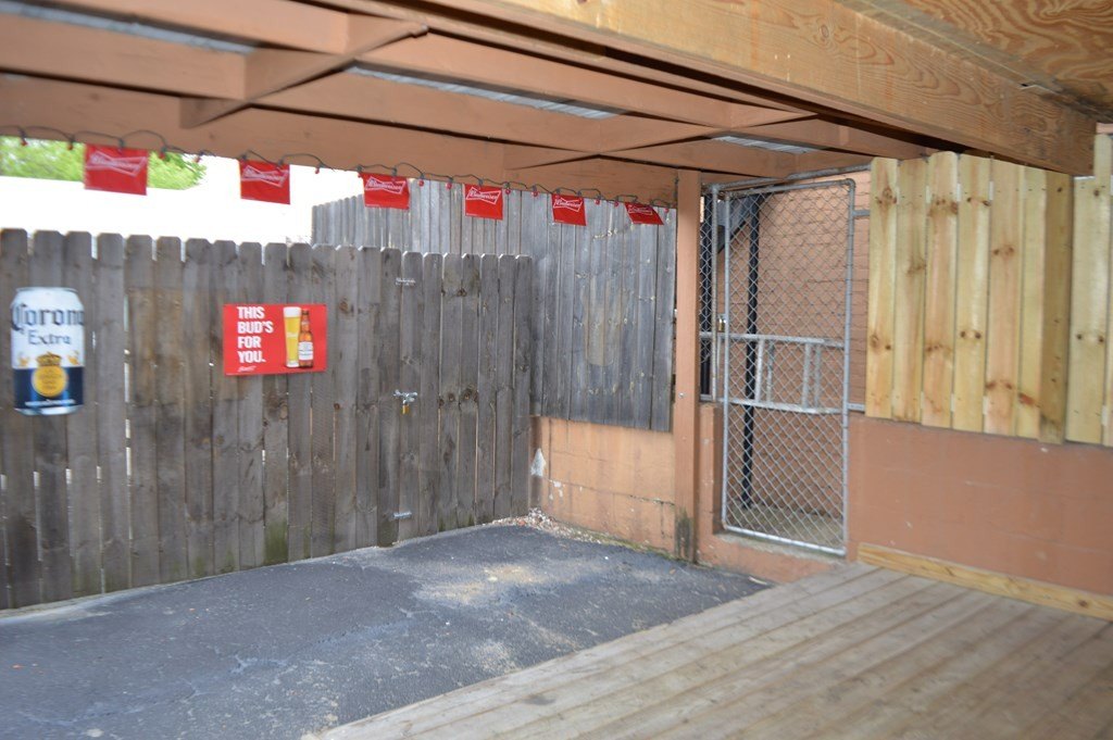 Picture 11