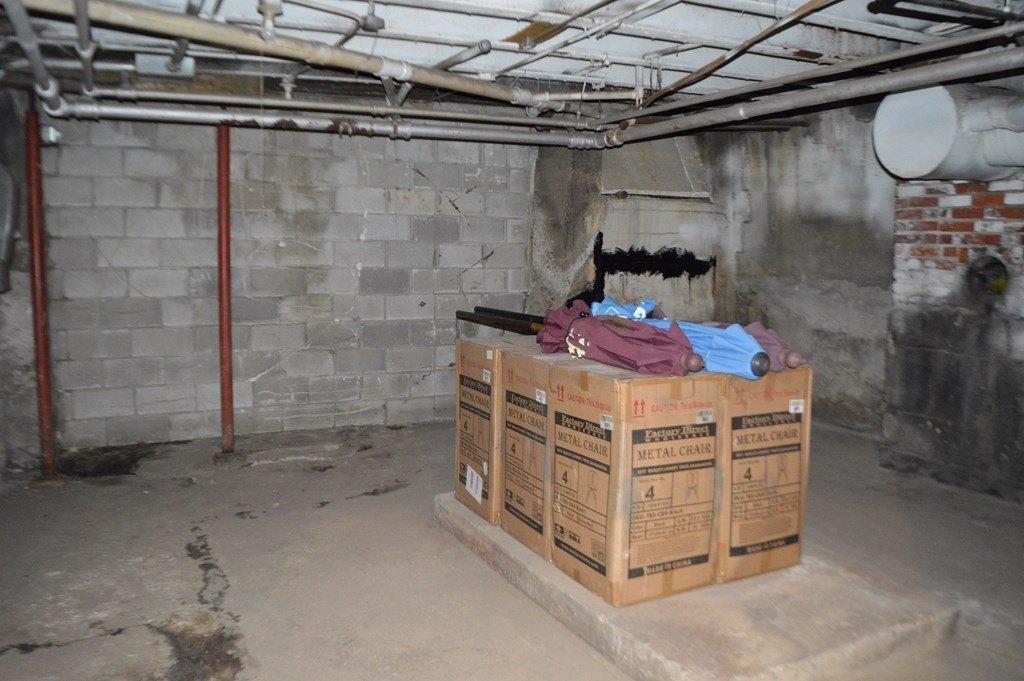 Picture 41