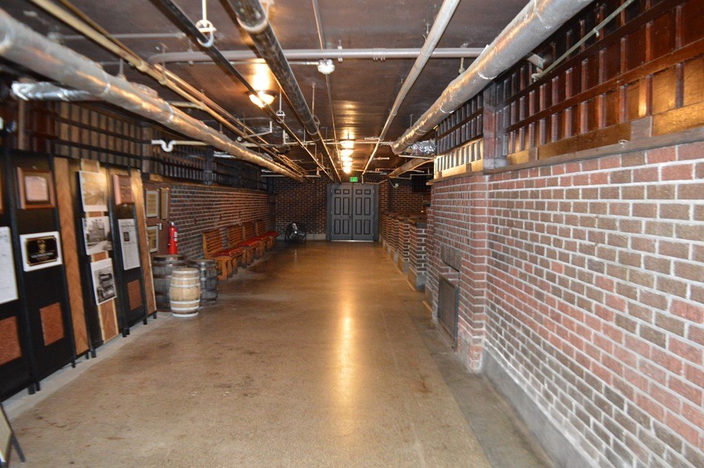 Picture 35