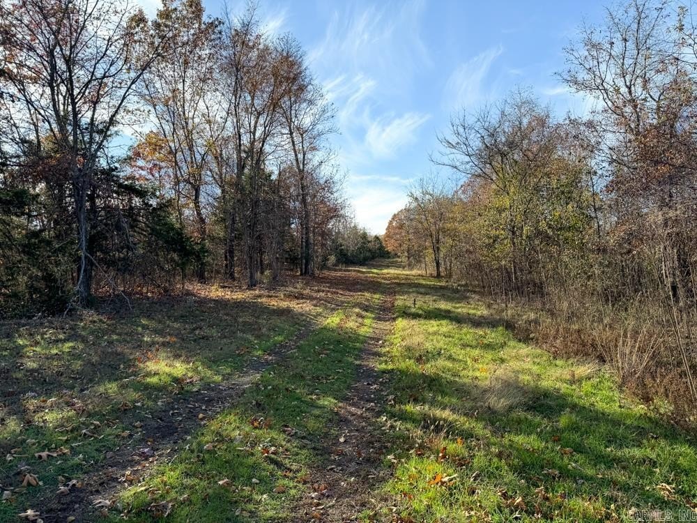 Picture 22