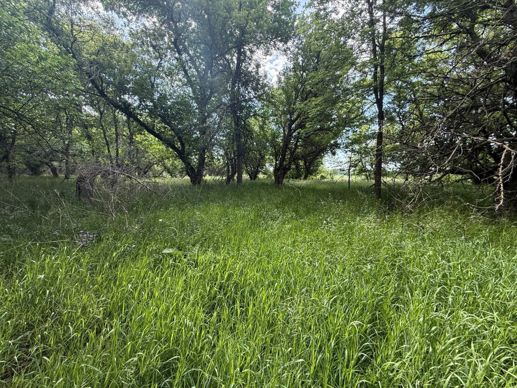 Picture 14