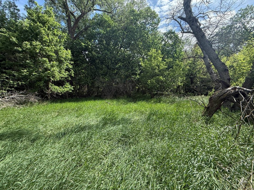 Picture 15