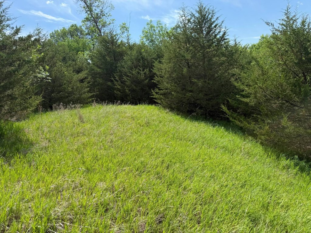 Picture 18