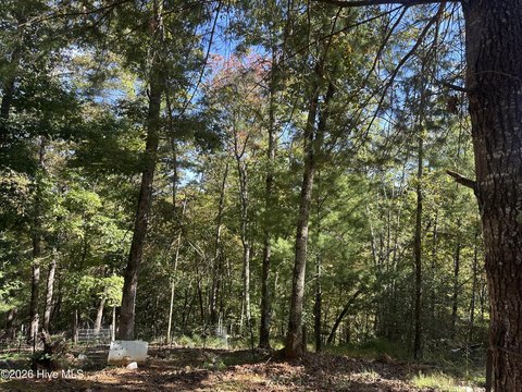 Land, Murphy, NC