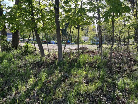 Downtown Ludington Building Lot