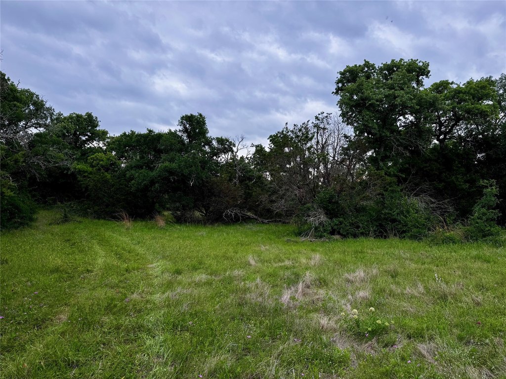 Picture 9