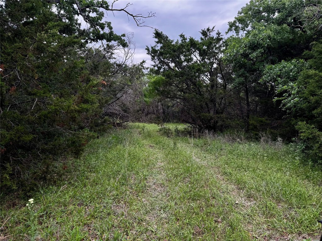 Picture 15
